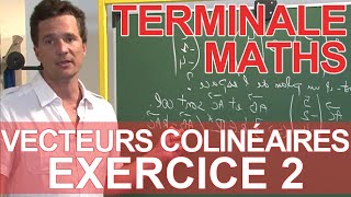 Vecteurs colinéaires  Exercice 2  Mathématiques Terminale  Les Bons Profs [upl. by Brader]