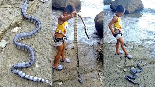 Ang Tapang ng Batang ito hinawakan ang Makamandag na Sea SnakeWaloWalo [upl. by Reve]