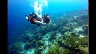 Sarai Scuba Diving Bonaire [upl. by Aritak]