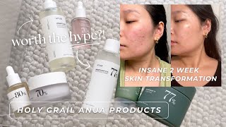 my holy grail korean skincare for calming acne amp healing my skin barrier  ANUA product review [upl. by Whiteley876]