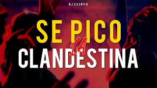 •🔥 SE PICO LA CLANDESTINA 8 🔥•  ALTA JODA  FIESTA 2021  LO MEJOR   DJ Cu3rvo [upl. by Drahser]