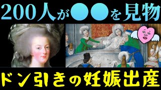 【歴史ミステリー】今では信じられない！王室の女性たちの妊娠・出産 [upl. by Eveneg910]