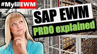 SAP EWM BASICS  PRDO explained  Overview plus database tables [upl. by Dino]