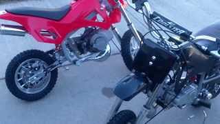 Fast 49cc Pocket Dirt Bike [upl. by Ellimahs]