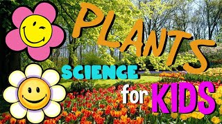 What is a Plant Basic parts of Plant  Science for Kids [upl. by Iohk]