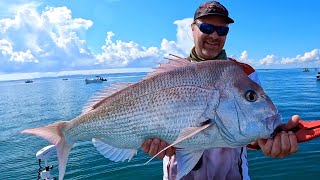 2023 wrap up Brisbane snapper Monduran Barramundi and more [upl. by Dranyer]