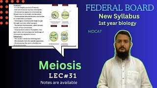 Meiosis  Stage of meiosis  Significance of meiosis  class 11 [upl. by Aratehs826]