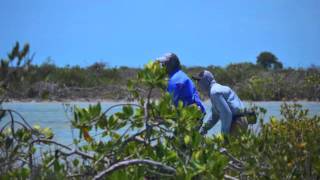 Bonefishing in Xcalak Mexico [upl. by Ammej]