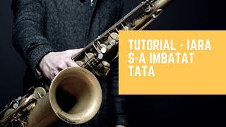 TUTORIAL 5  IARA SA IMBATAT TATA [upl. by Anor]