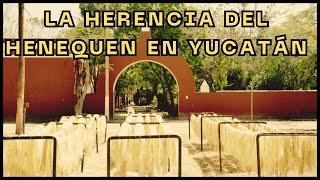 🔴DOCUMENTAL HERENCIA DEL HENEQUEN mexico documental documentary historia history MÉXICOMÁGICO [upl. by Lightman]