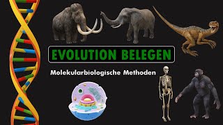 EVOLUTION BELEGEN  Molekularbiologische Methoden [upl. by Alehtse]