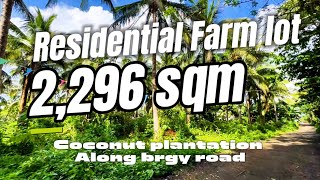 V64224 Alfonso cavite farm lot 3000 sqm coconut plantation along barangay road [upl. by Leimad103]