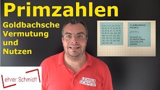 Primzahl  Was ist das  Mathematik  einfach erklärt mit Nerdwissen  Lehrerschmidt [upl. by Shull]