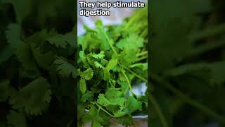 Health Benefits of coriander leaves [upl. by Ardnaz]