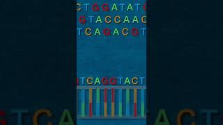 CRISPR Explained [upl. by Nylave]