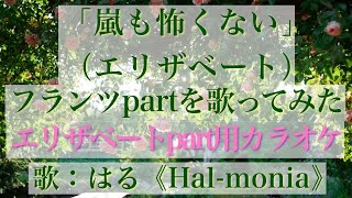 「嵐も怖くない」フランツパートを歌ってみた（宝塚ver）（エリザベートパート用カラオケ）（Nichts ist schwerElisabeth：Only FranzJoseph） [upl. by Ertemed]