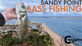 Bass Fishing At SANDY POINT Hayling Island  Sea Fishing UK [upl. by Arahk290]