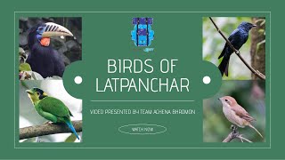 Birds of Latpanchar birds birdwatching nature wildlife birdslover [upl. by Kelwin]