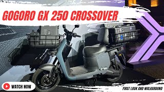 Gogoro GX 250 Crossover  First Look amp Walkaround  Motoroids [upl. by Dubois471]