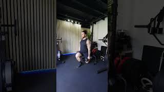 Dual Dumbbell Rear Foot Elevated Split Squat Bulgarian Split Squat  Exercise Demo [upl. by Anaxor]