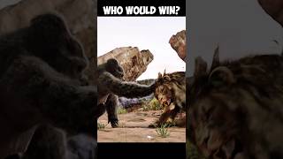 gorilla vs lion real fight 😱 [upl. by Safir]