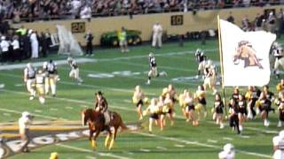 WMU Football Horse quotTriumphquot [upl. by Milissent]