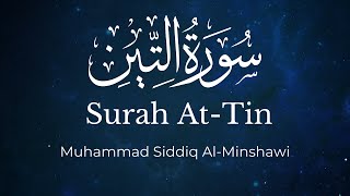 Surah AtTin  Muhammad Siddiq AlMinshawi  English Translation [upl. by Ecela]