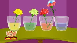 Learn Science through Home Experiments  Drinking Plants [upl. by Athenian870]