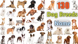 Dog Breeds Vocabulary ll 130 Dogs Breeds Names In English With Pictures ll 100 Popular Dogs [upl. by Eey]