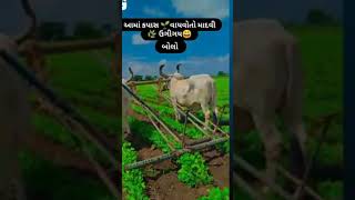 ખેડુત પુત્ર 🌱🌱shortvideo sotsfeed [upl. by Nedrob]