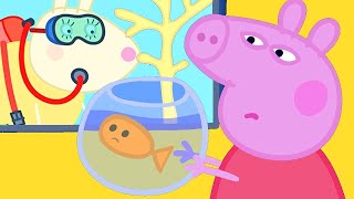 Peppa Pig Finds Goldie the Fish a New Friend [upl. by Lilyan961]