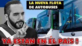 Nayib Bukele vuelve locos a los SALVADOREÑOS 😱 y sorprende con NUEVOS buses modernos desde china [upl. by Cassiani]