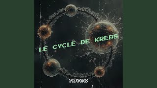 Le cycle de Krebs [upl. by Alywt]