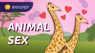 How Animals Do It Sexual amp Asexual Reproduction Crash Course Biology 47 [upl. by Imas826]