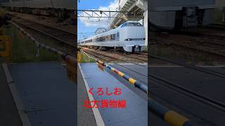 KUROSHIO japanrailway japaneseexpress japaneserailway train japanrail [upl. by Naihtsirc]