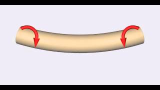 Deformation of a Ductile Material [upl. by Hermia]