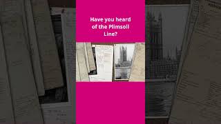 Have you heard of The Plimsoll Line [upl. by Krigsman]