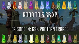 Road to 56B XP  Episode 14 69K Protean Traps RuneScape 3 [upl. by Brabazon]