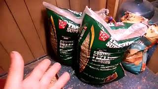 Least Expensive Most Available Wood Pellet Kitty Litter Compostable Biodegradable [upl. by Quennie]