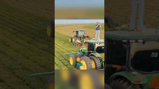 Mechanized peanut harvesting in north America machinery farm technology education world [upl. by Aleinad]