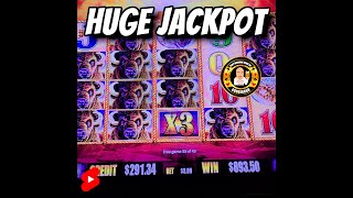 HUGE JACKPOT on Buffalo Gold shorts [upl. by Nodla]