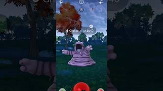 See how I Catch a Grimer in Pokemon go pokemon pokemongo [upl. by Dimond204]