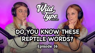 Explaining weird reptile words  Episode 16 [upl. by Patience3]