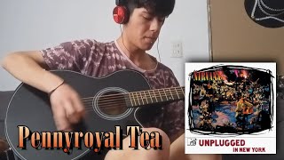 Nirvana  Pennyroyal Tea MTV Unplugged  Guitar Cover [upl. by Aihseym]