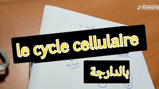 le cycle cellulaire  partie 1  SVI BCG S1 les principales étapes  الدورة الخلوية بالدارجة [upl. by Anatlus]