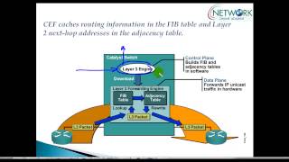 Understanding Cisco Express forwarding [upl. by Dachia]