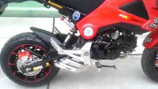 Honda Grom MSX125 IXIL Dual Hyperlow Full Exhaust Low Mount [upl. by Nya]