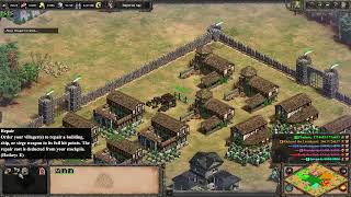 Celtic Assault  Age of Empires 2 Definitive Edition [upl. by Geminian104]