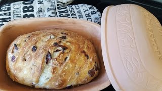 NoKnead CranberryWalnut Bread Perfect 18Hour Loaf [upl. by Leandro]