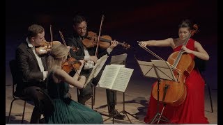 Edvard Grieg  String Quartet in g minor op 27  Nordic String Quartet HD [upl. by Evered489]